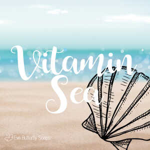 Eve Butterfly Soaps Deocreme “Vitamin Sea” – 100% natürlich und vegan, 50 g