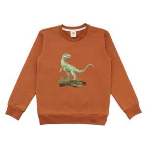 Walkiddy Dinosaur Jungle – Baumwolle (Bio) – brown – Sweatshirt